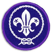 Insignia Bordada Flor de Lis Scout Mundial Uniforme 35 MM