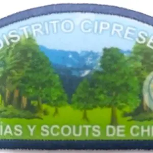 Insignia Distrito Cipreses (2025)