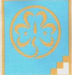 Insignia Promesa Guías