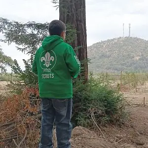 Poleron Algodón Verde Scout