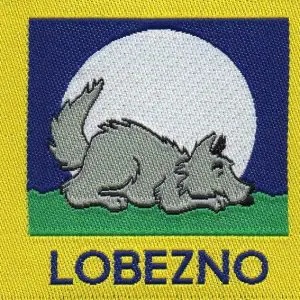 Insignia Progresión Lobatos Lobezno