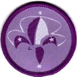 Insignia Promesa Pioneras y Pioneros