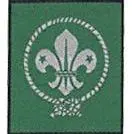 Insignia Promesa Scouts