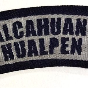 INSIGNIA DISTRITO TALCAHUANO-HUALPEN