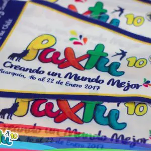 Banderín Paxtu 2017