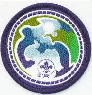Insignia Scout Mundial Medio Ambiente Purpura