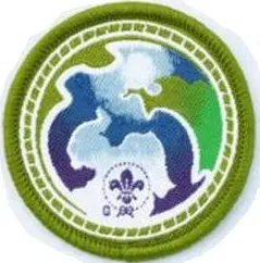 Insignia Scout Mundial Medio Ambiente Verde