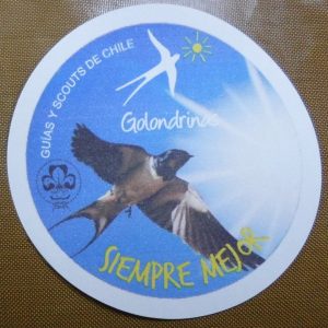 ADHESIVO GOLONDRINAS CIELO (2024)