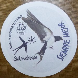 ADHESIVO GOLONDRINAS GRIS (2024)