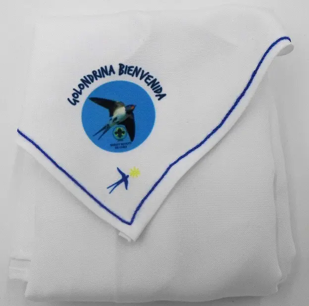 Pañolín Golondrina 3a Bienvenida