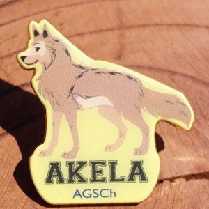 PIN METALICO AKELA