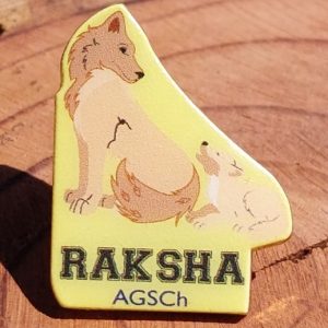 PIN METALICO RAKSHA