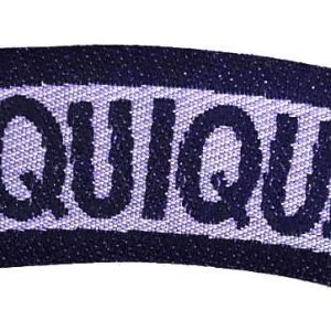 INSIGNIA DISTRITO IQUIQUE