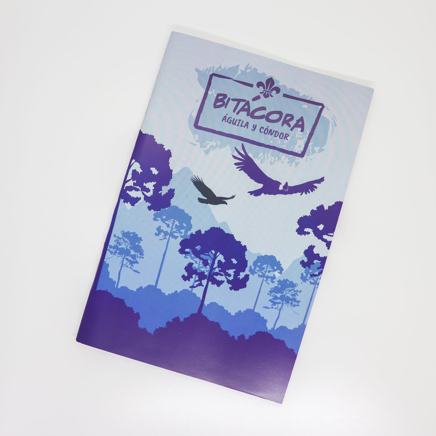 Bitácora Águila y Cóndor