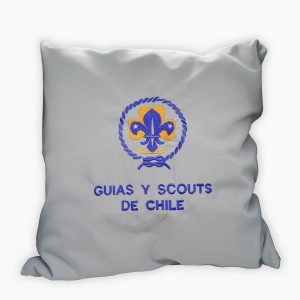 Funda Cojín Institucional