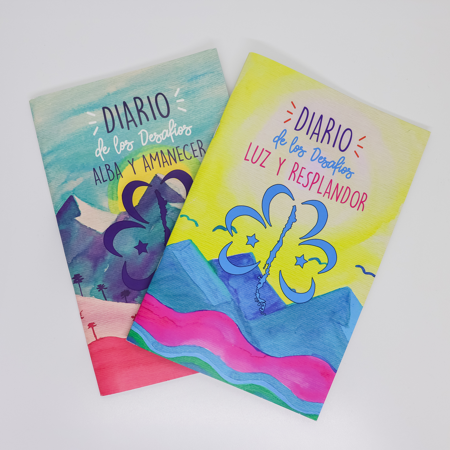Diario Guías